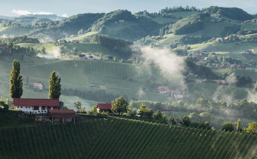 Il vino dell'Austria in sei etichette Kamptal Dac Südsteiermark Thermenregion Wagram Austrian wine Niederösterreich