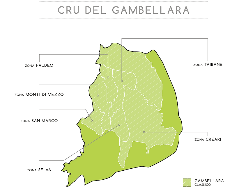 I vini vulcanici di Gambellara, tra identità e futuro: il distretto della Garganega è qui