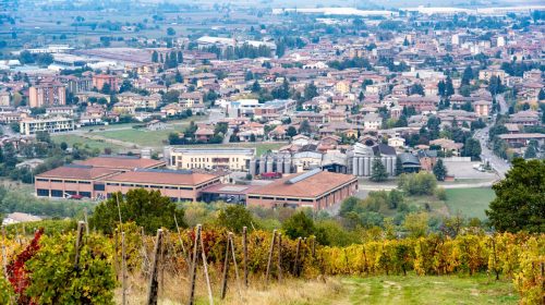 Ribaltone Consorzio Vini Oltrepò, gli imbottigliatori: «Ecco perché ci siamo dimessi»