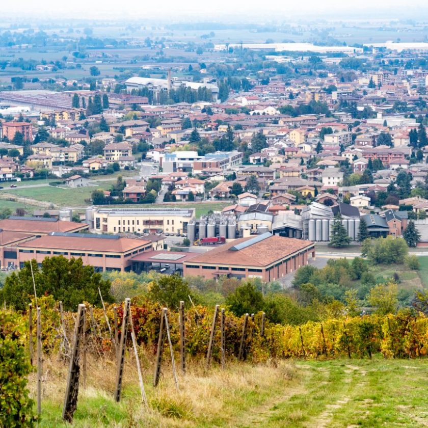 Ribaltone Consorzio Vini Oltrepò, gli imbottigliatori: «Ecco perché ci siamo dimessi»