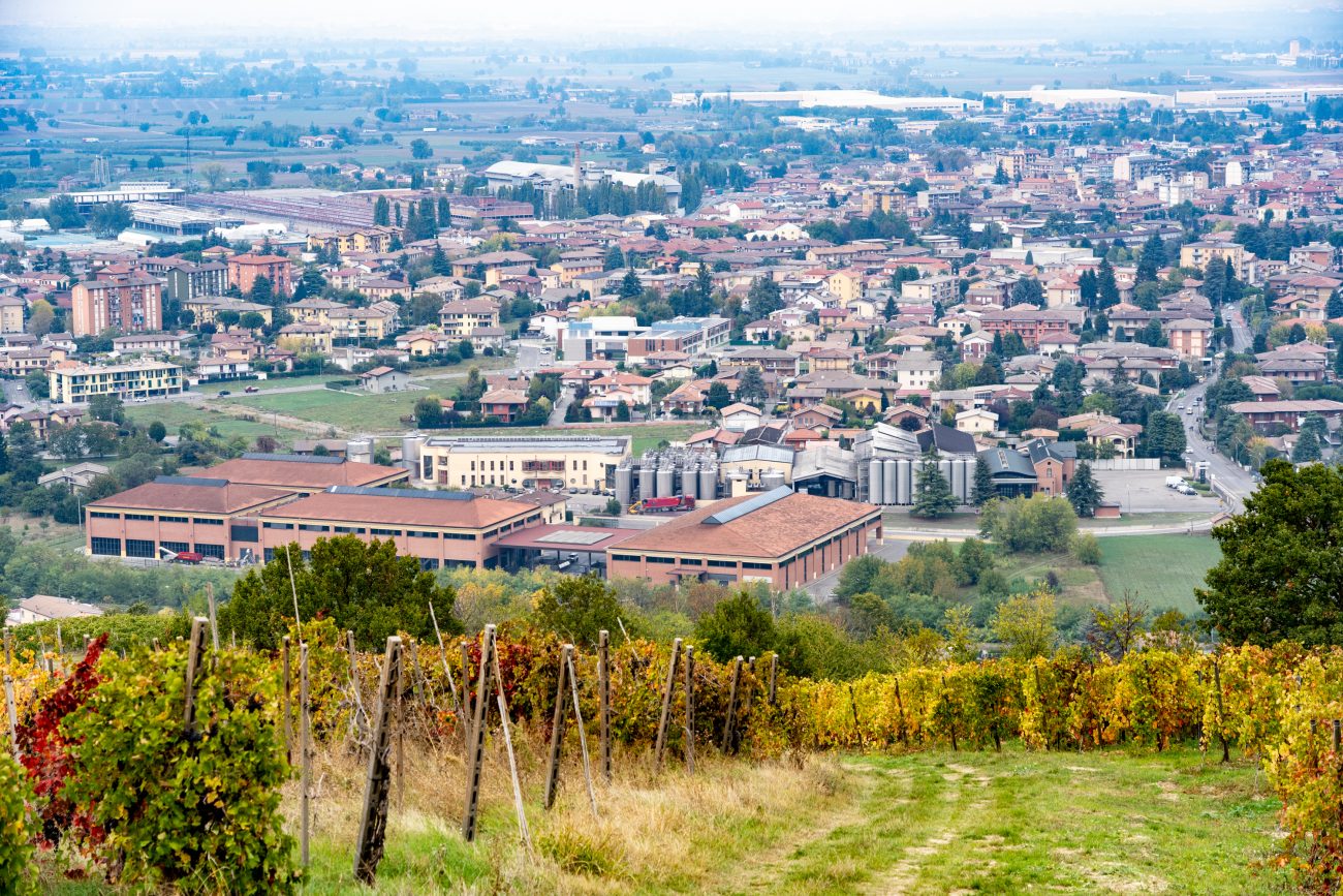 Ribaltone Consorzio Vini Oltrepò, gli imbottigliatori: «Ecco perché ci siamo dimessi»