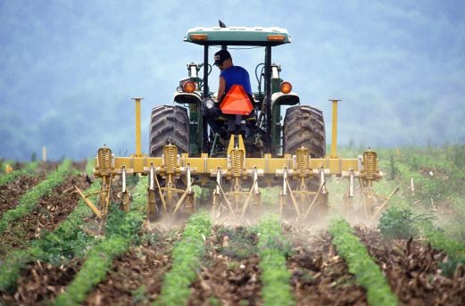 Biologico supera 2,1 milioni di ettari in Italia è record coldiretti dati