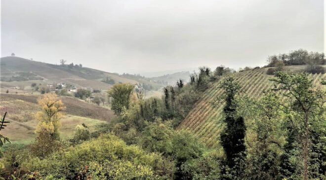 Le vigne eroiche del Buttafuoco storico, tra pendenze e basse rese abbinamento col pesce si può