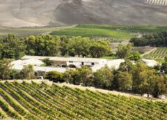 Sicilia prima regione vinicola al mondo per viticoltura biologica