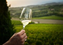 60 anni Consorzio Tutela Vini Collio due giorni di celebrazioni tra masterclass e degustazioni