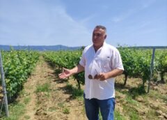 Benvenuti a Chamlija, il paradiso dei vini turchi così Mustafa Camlica scrive la storia del vino in Turchia