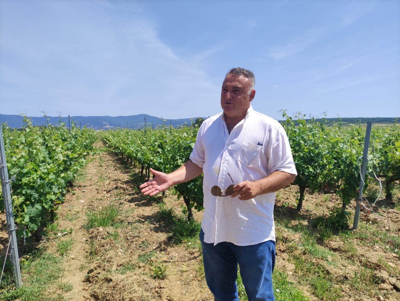 Benvenuti a Chamlija, il paradiso dei vini turchi così Mustafa Camlica scrive la storia del vino in Turchia