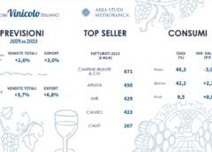 Mediobanca indagine sul settore vinicolo in Italia nel 2023