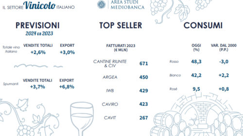 Mediobanca indagine sul settore vinicolo in Italia nel 2023