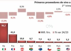 Vino spagnolo supera italiano in Germania: i dati dell'Observatorio español del mercado del vino