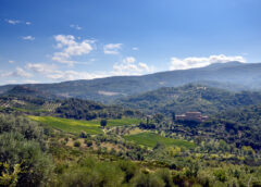 Montecucco verso ampliamento zona vinicola nei comuni di montagna Seggiano Castello Potentino Monte Amiata