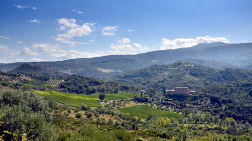 Montecucco verso ampliamento zona vinicola nei comuni di montagna Seggiano Castello Potentino Monte Amiata