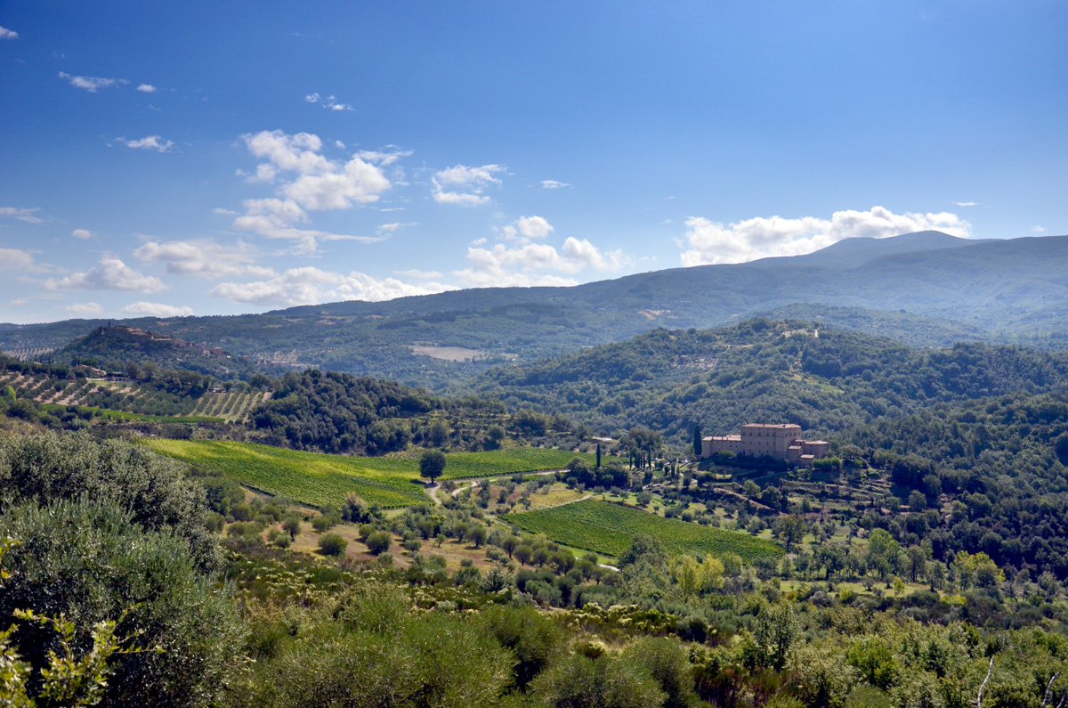 Montecucco verso ampliamento zona vinicola nei comuni di montagna. Qui Seggiano, Castello Potentino e Monte Amiata