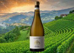 Cuvée Adamantis Cantina Valle Isarco Kellerei Eisacktal così Alto Adige investe su vini premium fine wine prezzo