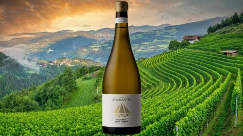 Cuvée Adamantis Cantina Valle Isarco Kellerei Eisacktal così Alto Adige investe su vini premium fine wine prezzo