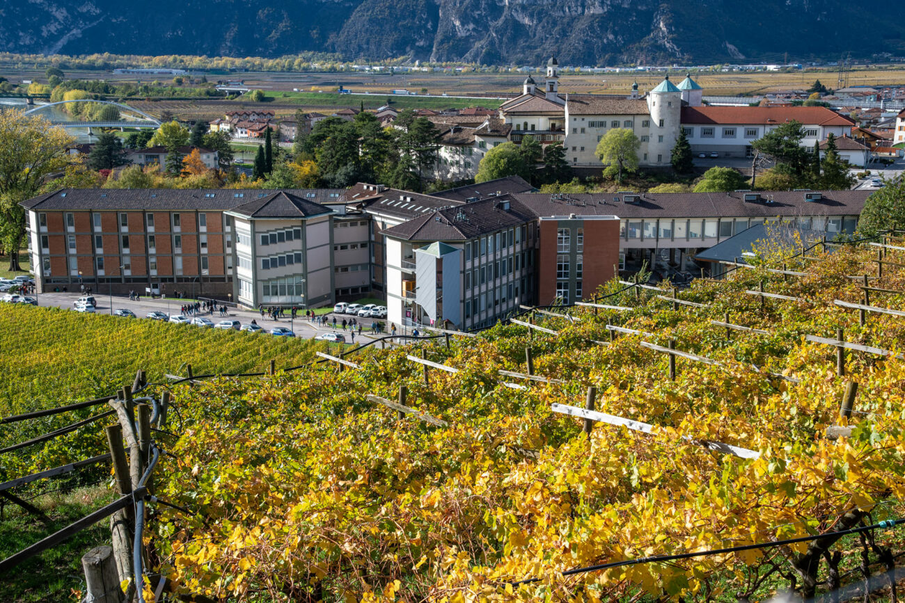 Distilleria didattica e botte all'Albero della vita per i 150 anni di Fondazione E. Mach