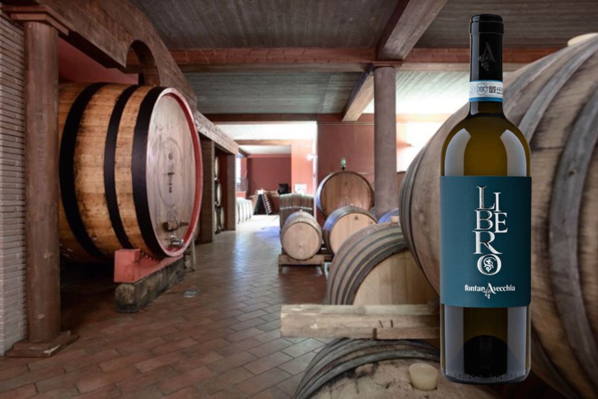 Fontanavecchia Miglior Cantina Sud Italia Guida Winemag 2025 la Falanghina del sannio a casa libero rillo Libero B Particella 148, Libero F Particella 190 e Libero T Particella 031