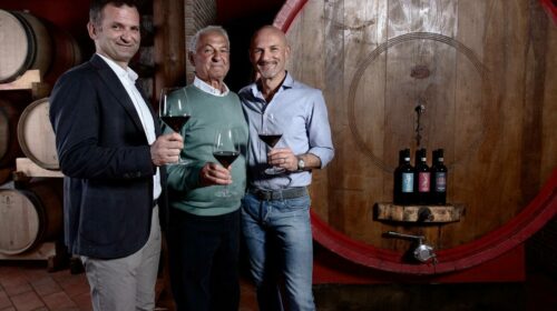 Fontanavecchia Miglior Cantina Sud Italia Guida Winemag 2025 la Falanghina del sannio a casa libero rillo Libero B Particella 148, Libero F Particella 190 e Libero T Particella 031