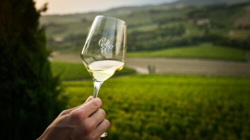 La vendemmia 2024 del Collio sarà «tra le migliori che si possano ricordare» david buzzinelli consorzio vini collio