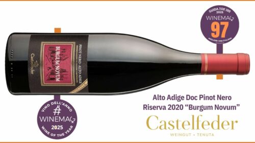 Pinot Nero Riserva 2020 Burgum Novum di Castelfeder è Miglior Vino italiano alto adige doc guida winemag punteggio 97 100