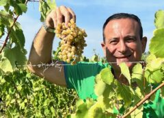 Riparbella, vendemmia 2024 positiva per il nuovo brand della Toscana del vino Flavio Nuti, presidente AVCR