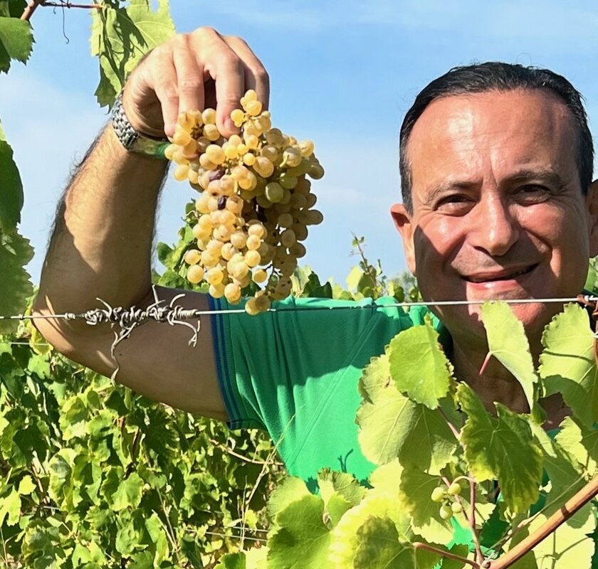 Riparbella, vendemmia 2024 positiva per il nuovo brand della Toscana del vino Flavio Nuti, presidente AVCR