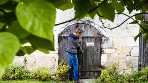 Vendemmia 2024, anche il Centro Loira alle prese con la peronospora sancerre poully fume