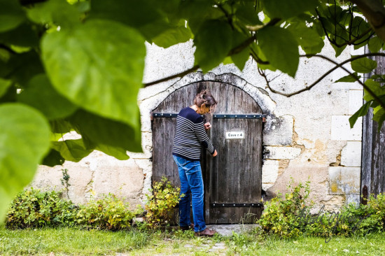 Vendemmia 2024, anche il Centro Loira alle prese con la peronospora sancerre poully fume