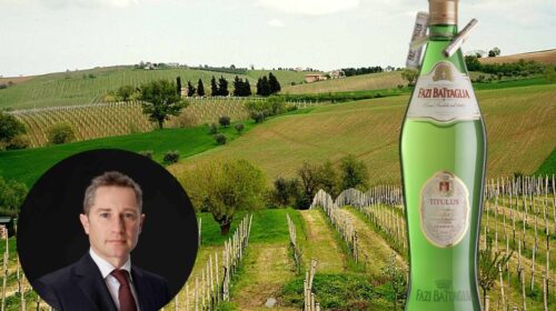 Verdicchiogate, Fazi Battaglia sul caso Moncaro un danno per tutto il territorio intervista ad angelini alberto lusini winemag davide bortone