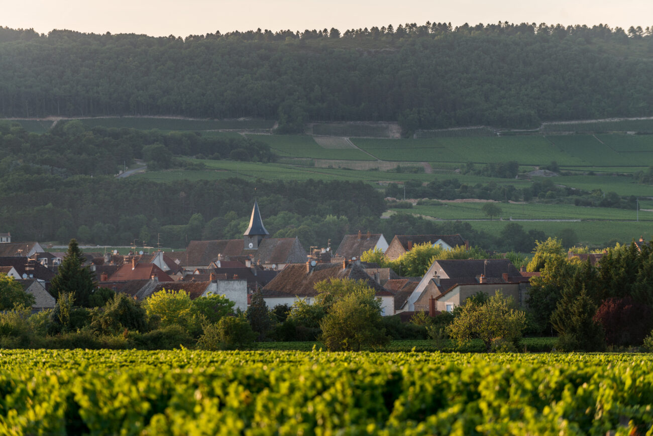 Borgogna vs Bordeaux i vini di Les Grands Chais de France