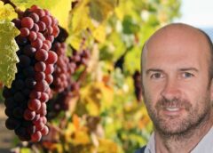 Pinot Grigio delle Venezie bocciato in Scienze «Non può essere resistente» professor Michele Morgante, direttore scientifico Istituto Genomica Applicata Udine convegno futuro Doc