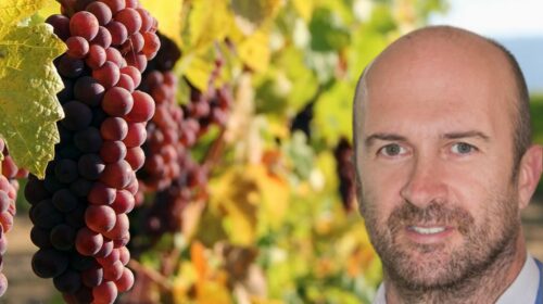 Pinot Grigio delle Venezie bocciato in Scienze «Non può essere resistente» professor Michele Morgante, direttore scientifico Istituto Genomica Applicata Udine convegno futuro Doc