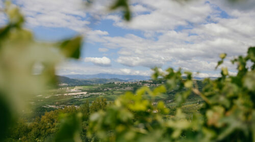 Ripa della Volta sostenibilità in Valpantena valpolicella