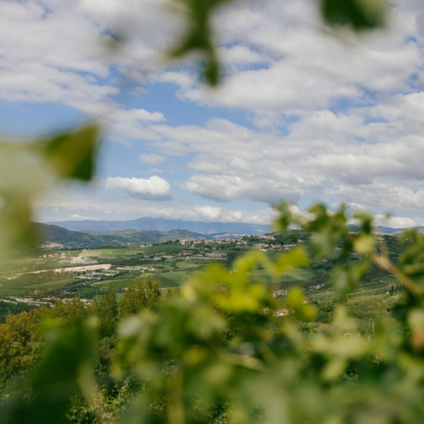 Ripa della Volta sostenibilità in Valpantena valpolicella