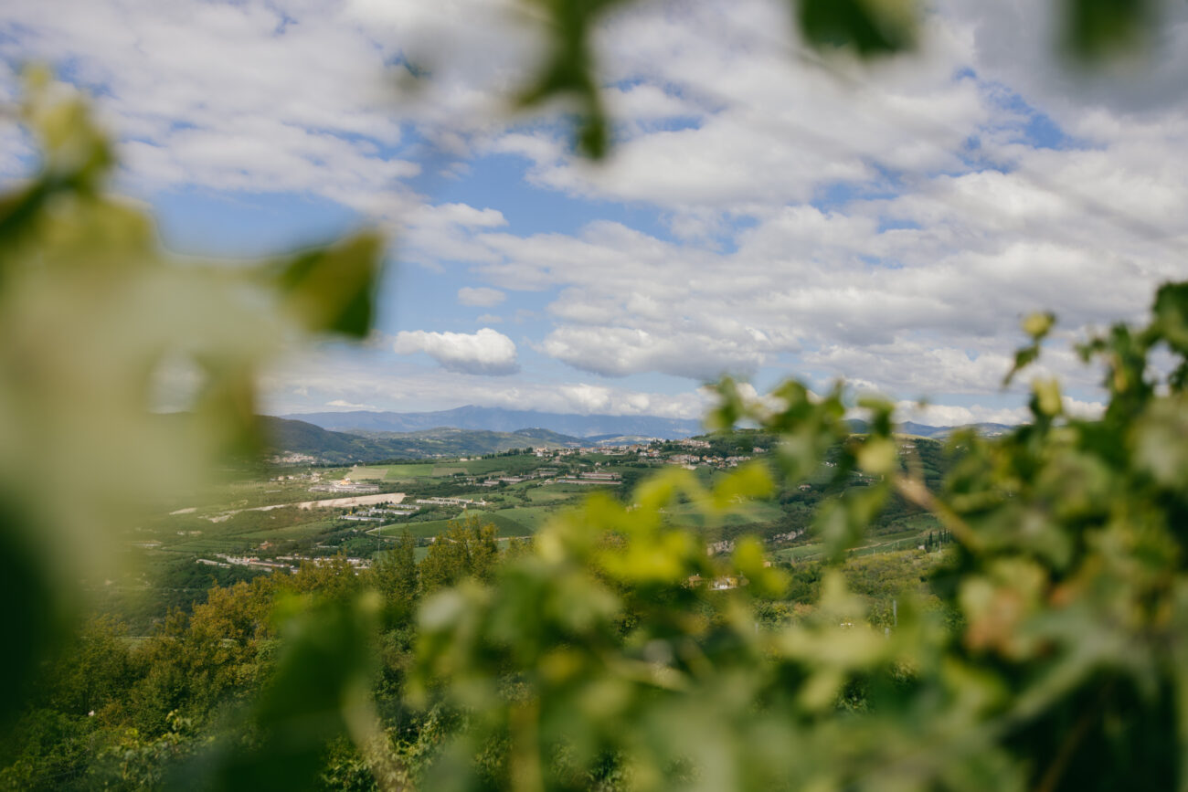 Ripa della Volta sostenibilità in Valpantena valpolicella