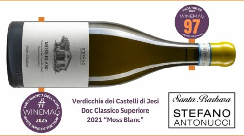 Miglior vino bianco italiano miglior verdicchio dei castelli di jesi Guida Winemag 2025 Verdicchio Moss Blanc, Cantina Santa Barbara