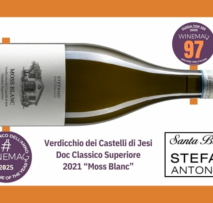 Miglior vino bianco italiano miglior verdicchio dei castelli di jesi Guida Winemag 2025 Verdicchio Moss Blanc, Cantina Santa Barbara