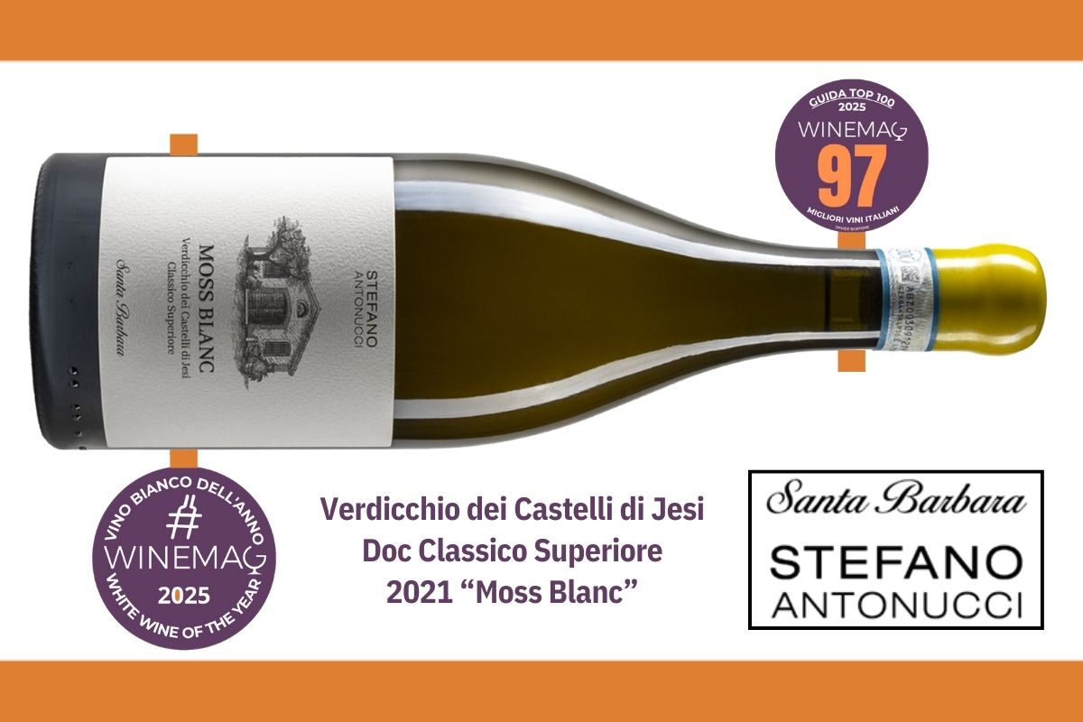 Miglior vino bianco italiano miglior verdicchio dei castelli di jesi Guida Winemag 2025 Verdicchio Moss Blanc, Cantina Santa Barbara