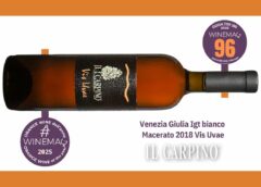 miglior vino orange macerato italiano Venezia Giulia Igt bianco macerato 2018 Vis Uvae Azienda agricola Il Carpino