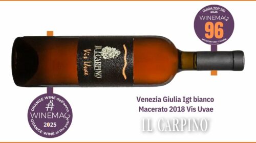 miglior vino orange macerato italiano Venezia Giulia Igt bianco macerato 2018 Vis Uvae Azienda agricola Il Carpino