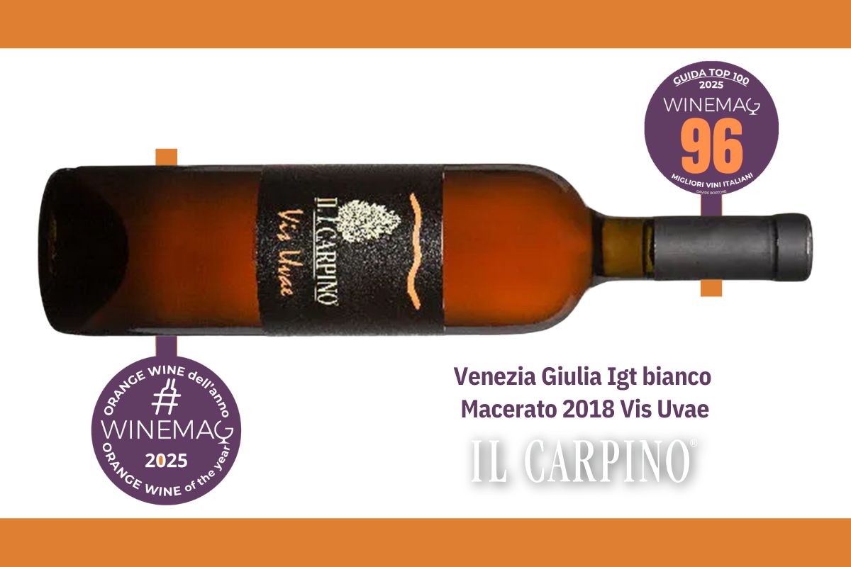 miglior vino orange macerato italiano Venezia Giulia Igt bianco macerato 2018 Vis Uvae Azienda agricola Il Carpino