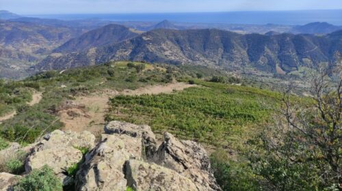 vista vigneti di montagna antichi poderi di jerzu