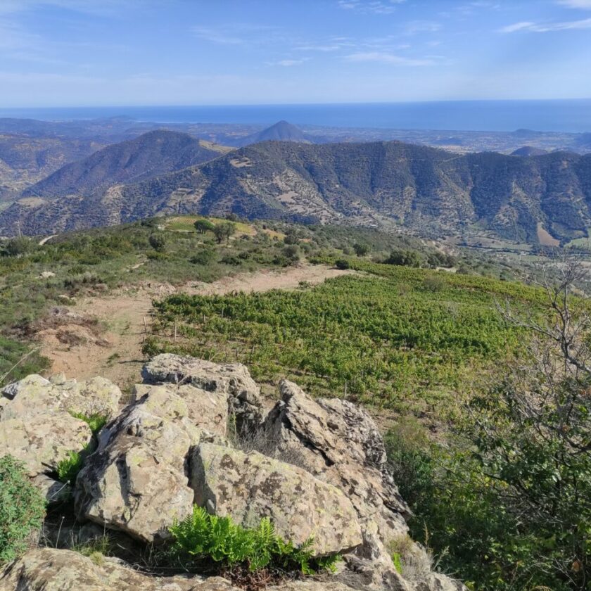 vista vigneti di montagna antichi poderi di jerzu