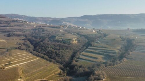 Masi Agricola, Fondazione Enpaia compra altre quote dei fratelli Boscaini