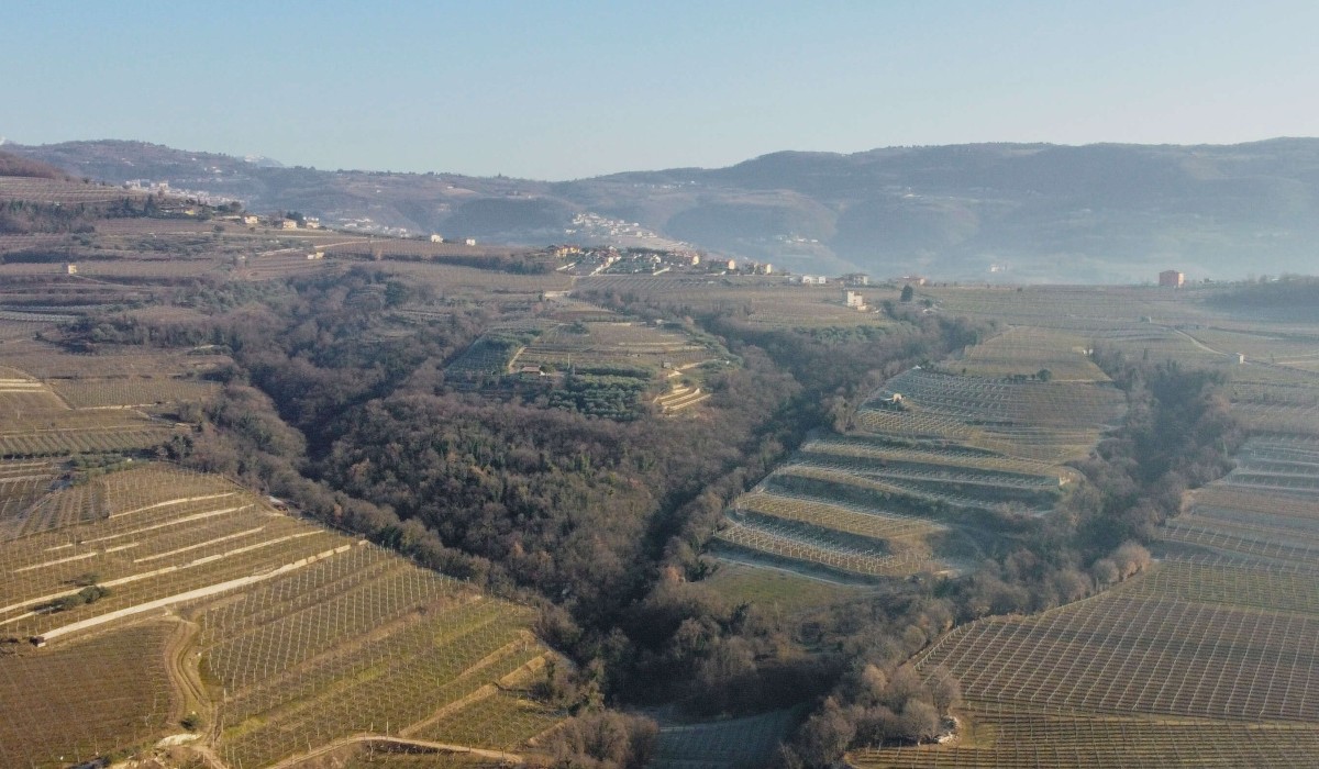 Masi Agricola, Fondazione Enpaia compra altre quote dei fratelli Boscaini