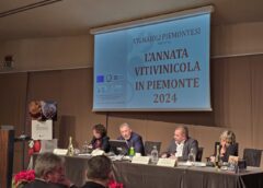 Annata Vitivinicola 2024 in Piemonte produzione in crescita tra sfide e opportunità. Il bilancio di Vignaioli Piemontesi e Regione Piemonte