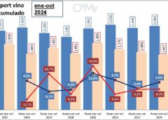 Più vino spagnolo sfuso in Germania e Italia nei primi 10 mesi del 2024