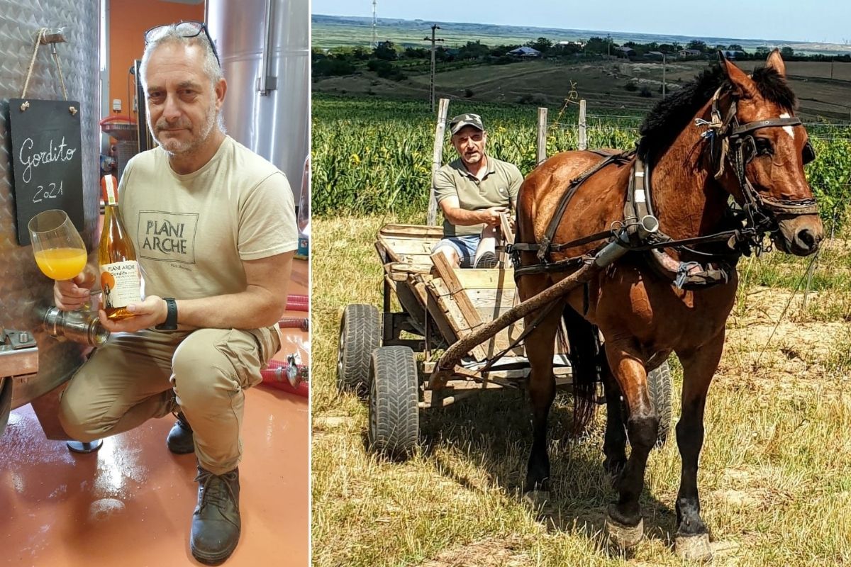 Roberto Di Filippo a Crama Delta Dunarii La Sapata la sua cantina in Romania