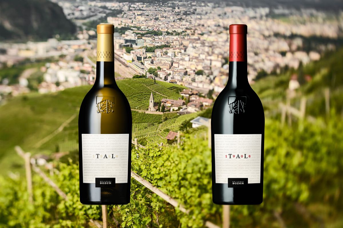 Tal 1930 e Tal 1908 Cantina Bolzano salto di qualità per le cuvée kellerei bozen enologo stephan filippi