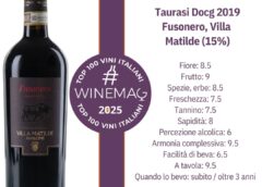 Taurasi Docg 2019 Fusonero, Villa Matilde